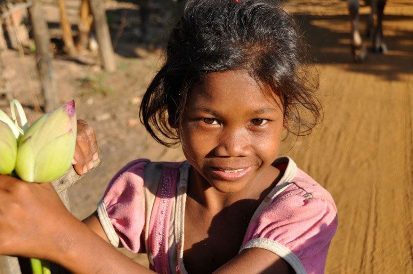 Little Girl Taking Flowers Little Girl Taking Flowers