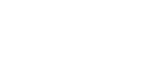 ThemeFusion